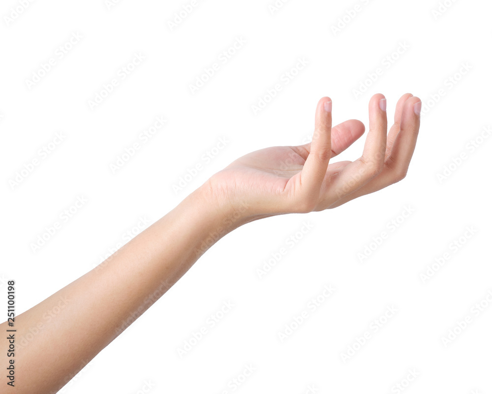 Woman's hand holding something on isolated with clipping path. Woman's hand holding something on isolated with clipping path.