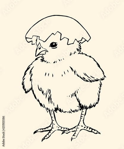 Chick03v