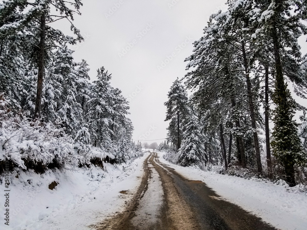 amazing view of winter in sinop turkey with snow covered trees.Forest with snow landscape amazing view of winter in sinop turkey with snow covered trees.Forest with snow landscape