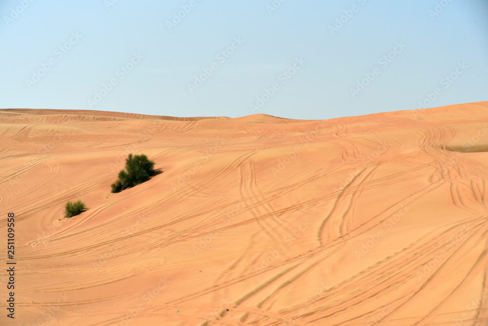 Fototapeta premium Pink Rock and Sharjah desert area, one of the most visited places for Off-roading by off roaders