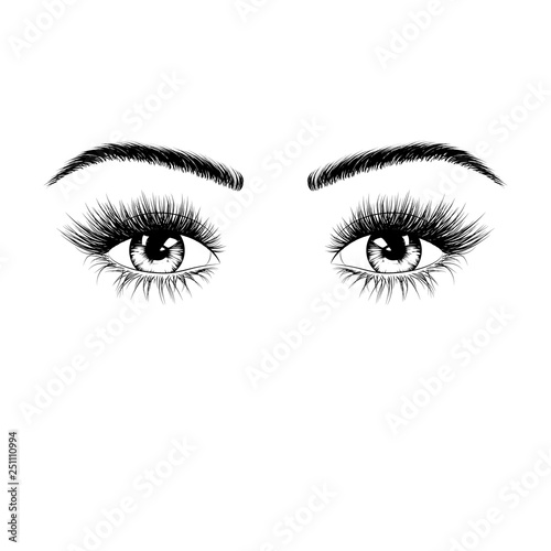 Hand drawn female eyes silhouette. Eyes with eyelashes and eyebrows. Vector illustration isolated on white background
