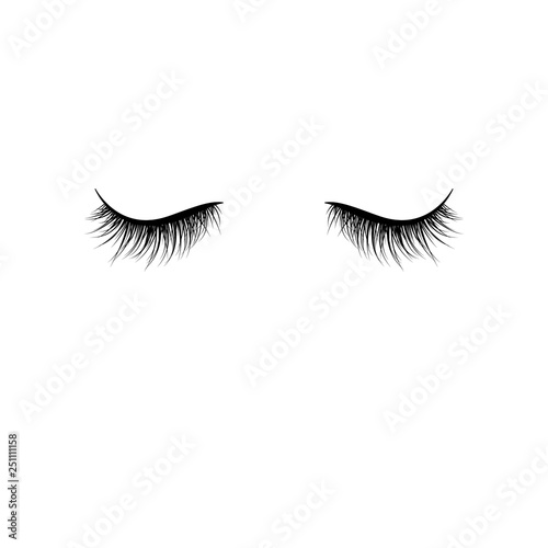 Black eyelashes isolated on white background. False eyelashes. Vector illustration photo