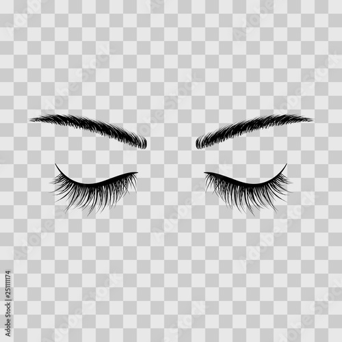 Black eyebrows and eyelashes eyes closed. Advertising false eyelashes. Vector illustration isolated on transparent background