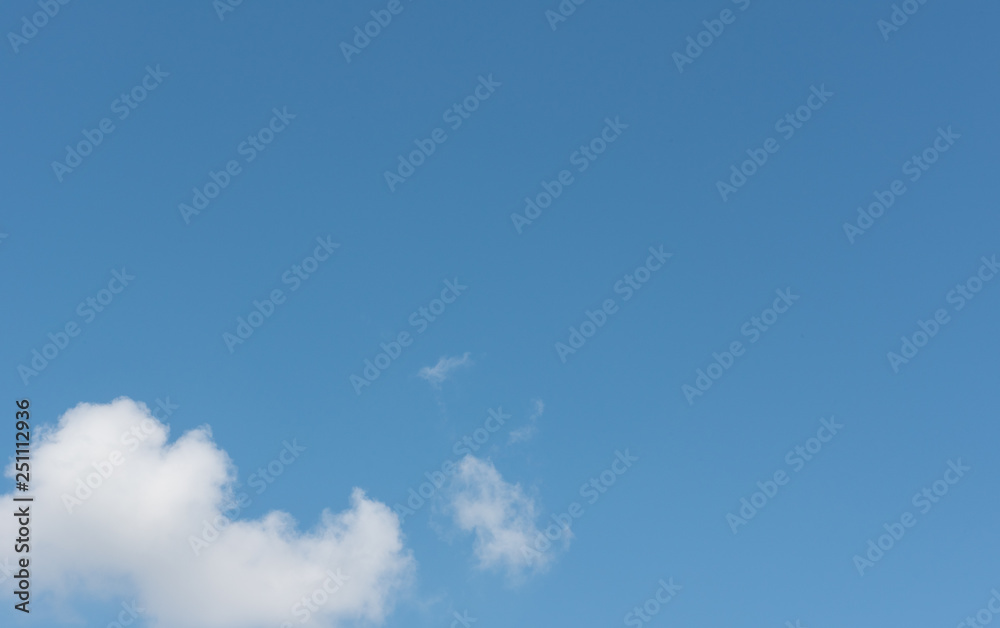 coconut palm trees against blue sky coconut palm trees against blue sky