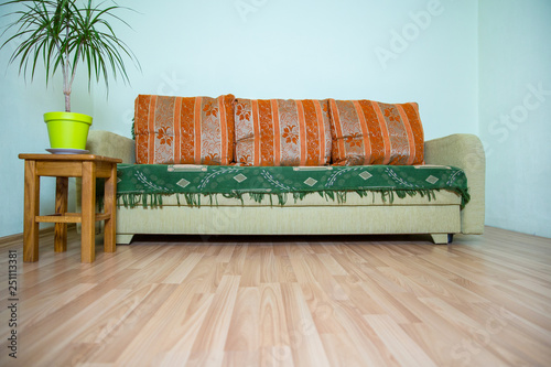 Sofa and pilows in living room. Urban home design photo. 2019 photo