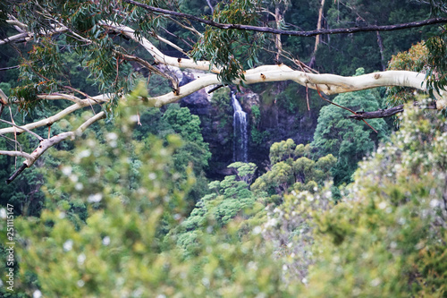 Waterfall in mountains