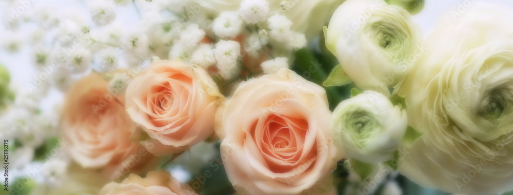 Banner Flowers close up background blur effect pastel color. Flowers texture Banner Flowers close up background blur effect pastel color. Flowers texture