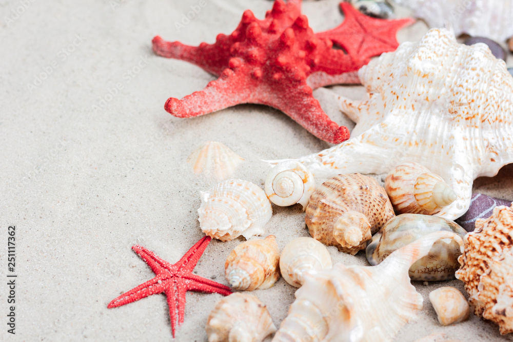 Seashells and red seastars on the sand, summer beach background with copy space for text. Seashells and red seastars on the sand, summer beach background with copy space for text.