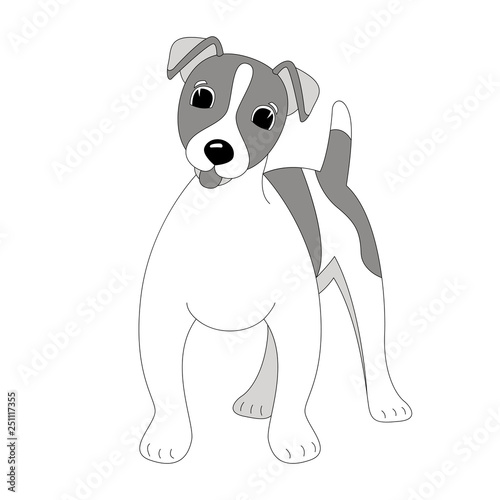 Terrier Jack Russell puppy,vector illustration, lining draw ,