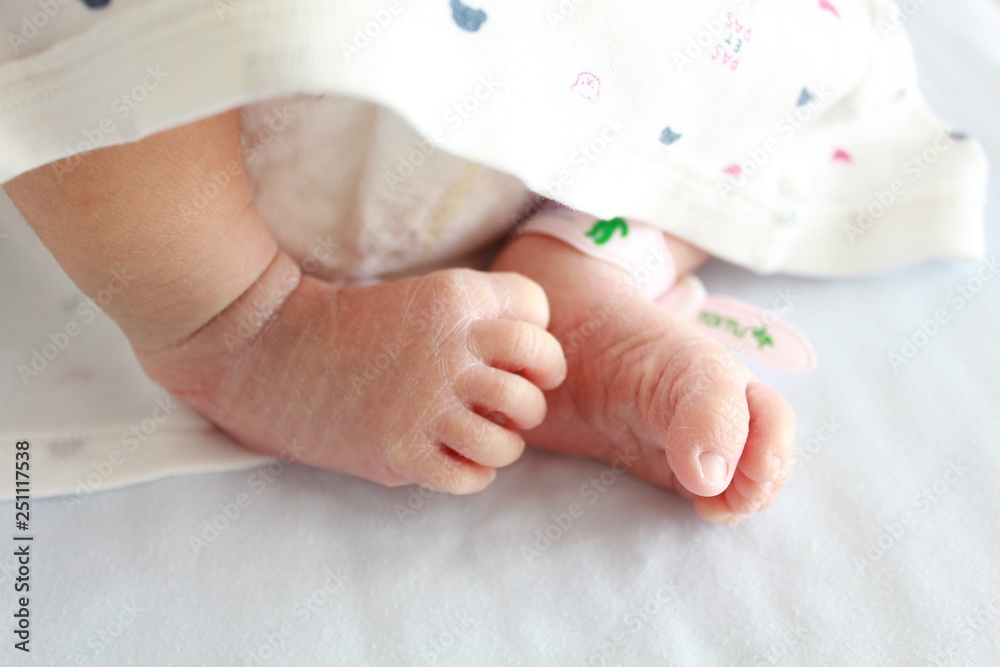 新生児の赤ちゃんの足と名札 Stock Photo Adobe Stock
