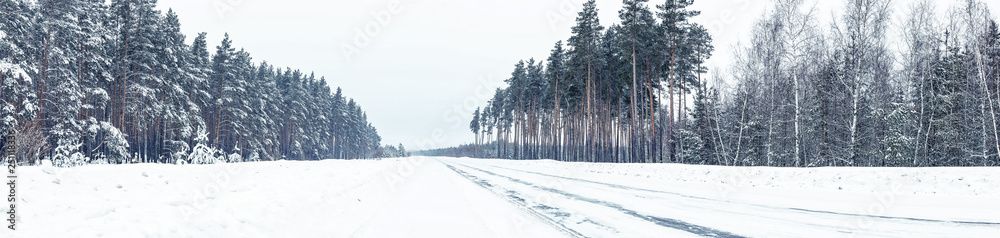 Obraz premium winter landscape with road and trees