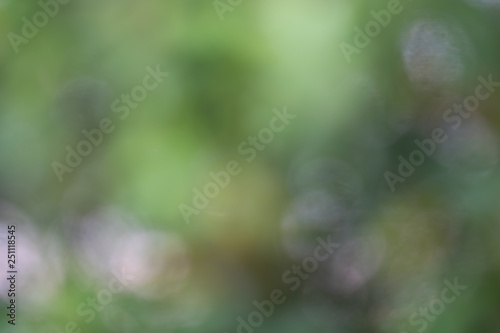 Bokeh of Tree Leaves for nature background and save green concept,soft and blur out of focus, made with gradient and filter colored.