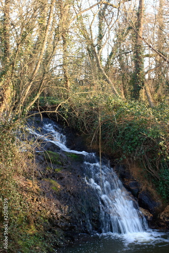 Cascade yonnaise