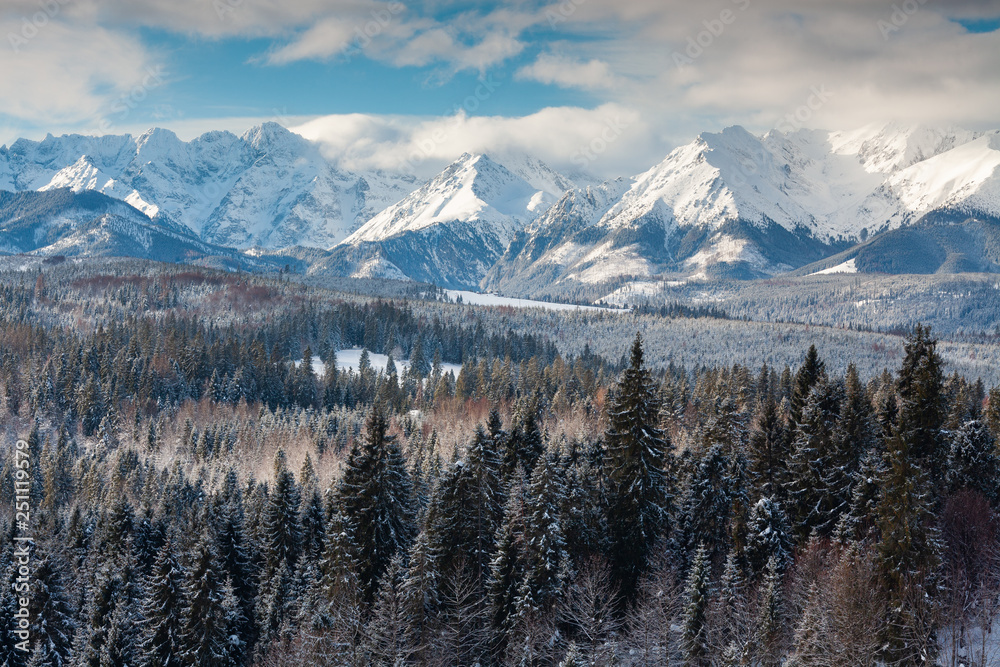 Tatra Mountains view - obrazy, fototapety, plakaty 