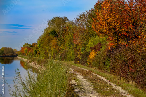 autumn leaf isar canal fall colors munich bavaria