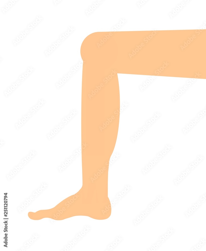 曲げた脚 Stock イラスト Adobe Stock