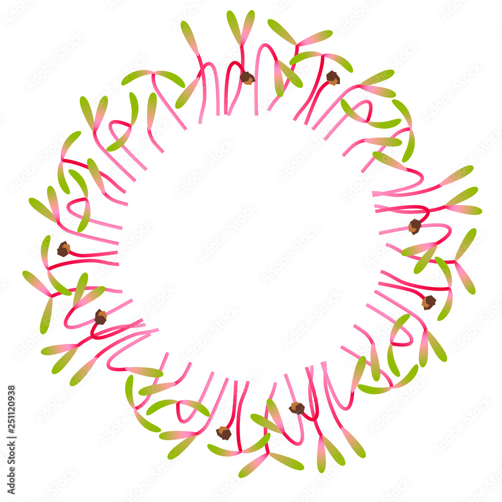 Microgreens Beet. Arranged in a circle. White background