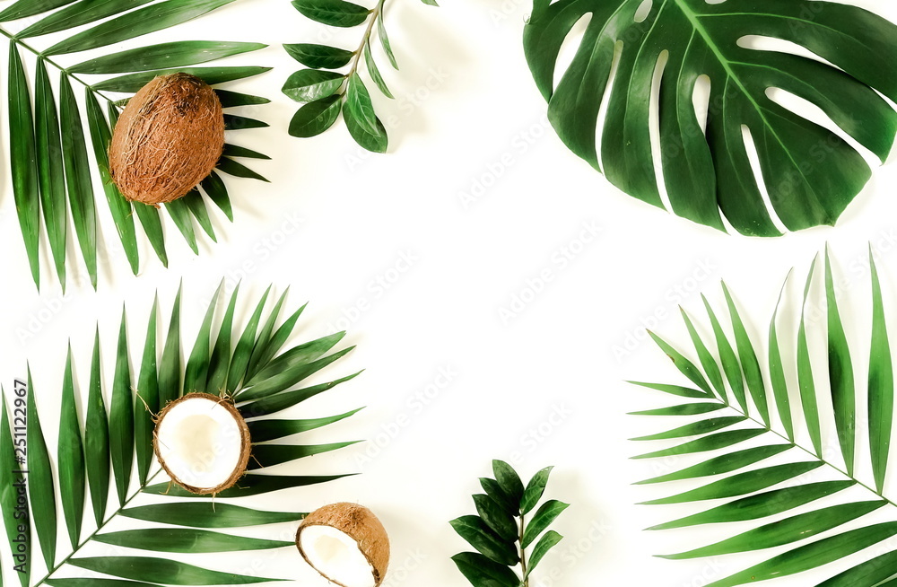 tropical green palm branches pattern frame and coconut on a white background. top view.copy space.abstract.