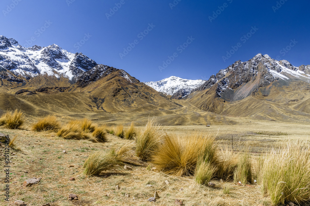 Dry grass on the mountain pass