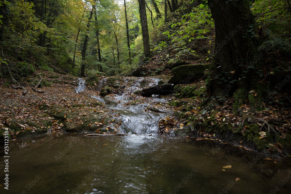 Stream in a mountain gorge in the autumn forest. Stream in a mountain gorge in the autumn forest.