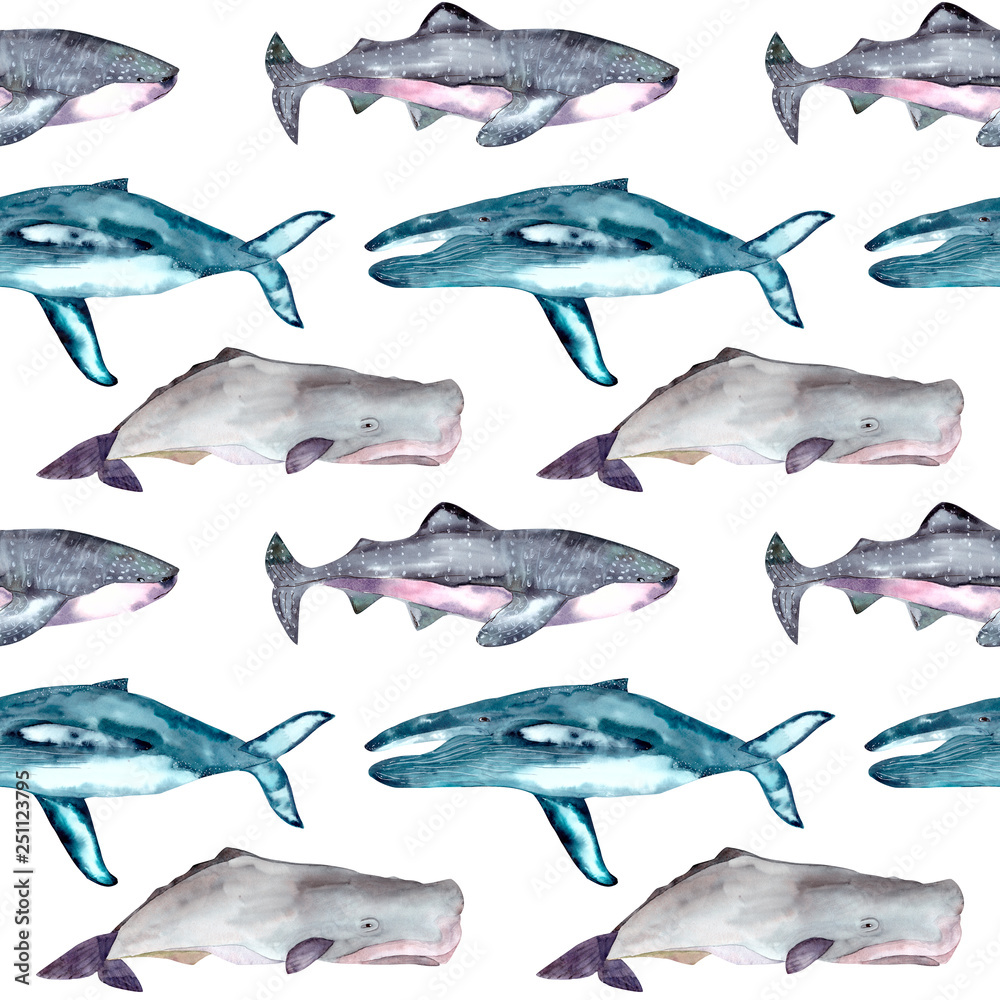 Obraz premium Seamless pattern with gray whales, shark tiger,blue whales, sperm whales. Can be used for wallpaper, web page background, surface textures.