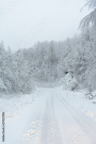 Snowy road with snowy trees on the mountain © Dimitrios