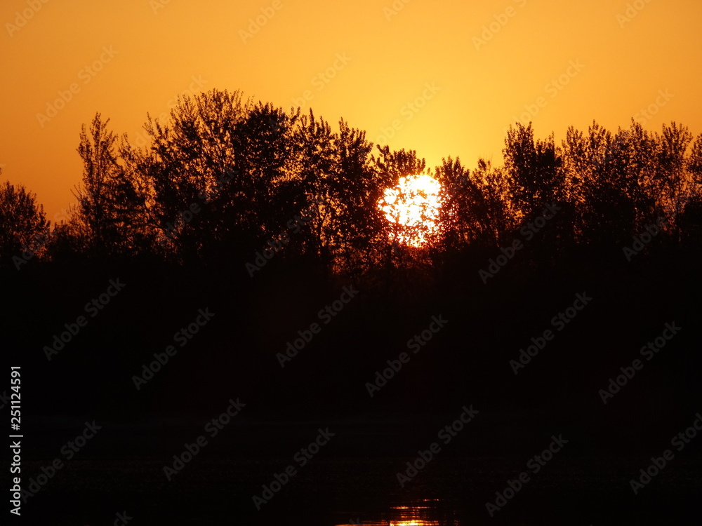 Obraz premium sunset in forest