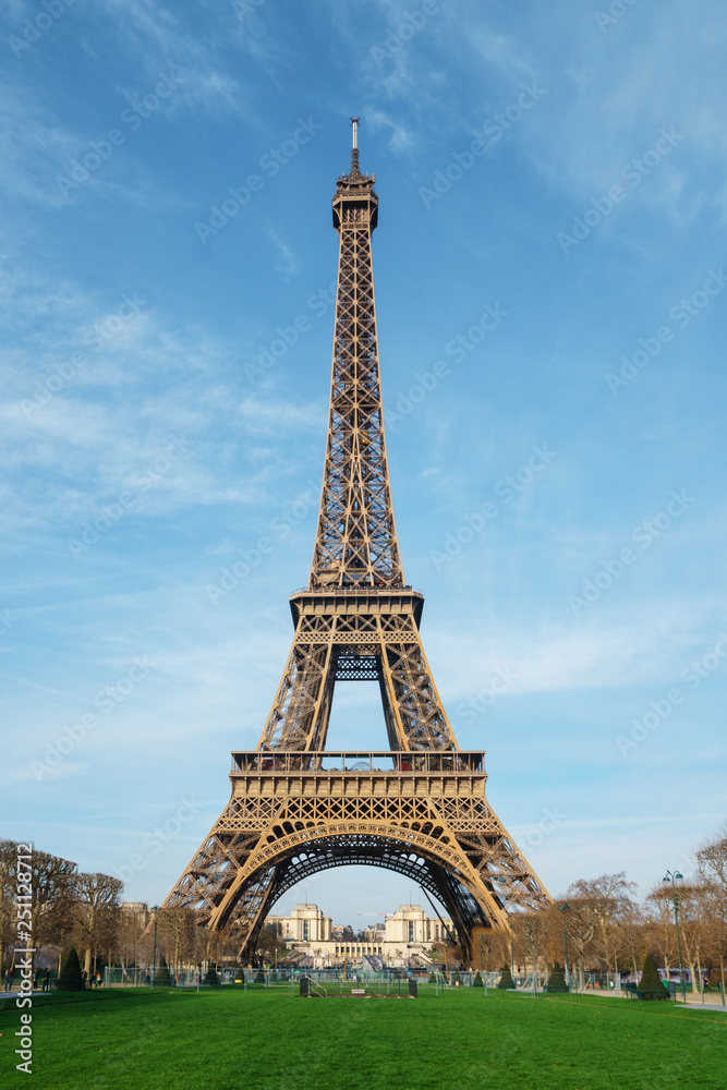 Fototapeta premium Beautiful photo of the Eiffel tower in Paris