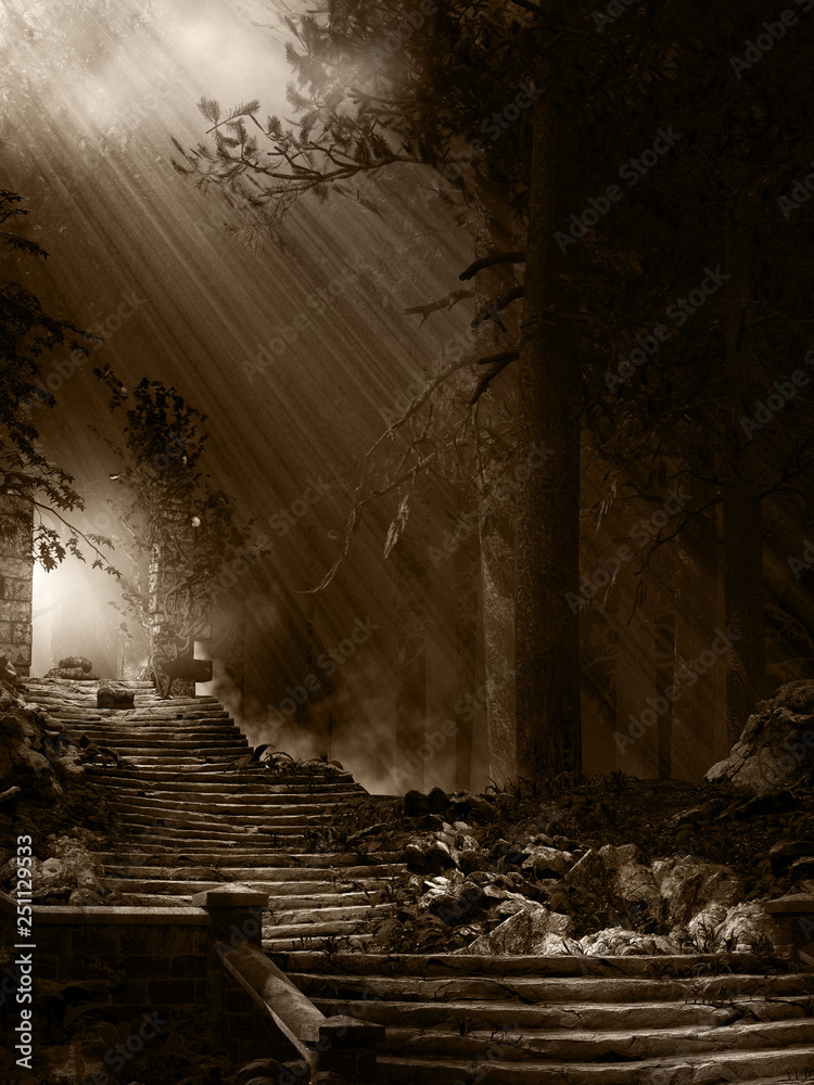 Obraz premium Stone stairs in the forest
