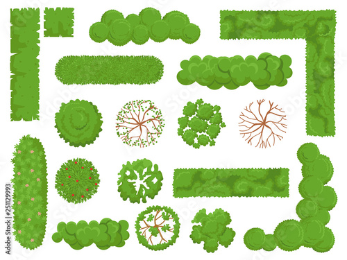Top view trees and bushes. Forest tree, green park bush and plant map elements look from above isolated vector set