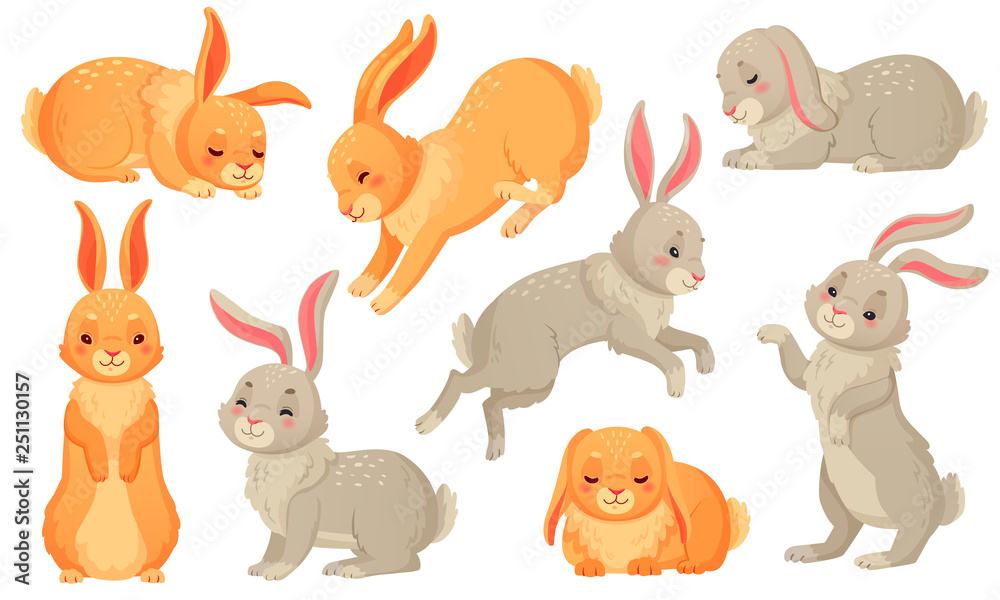 Cartoon bunny. Rabbits pets, easter bunnies and plush little spring rabbit pet isolated vector illustration set Cartoon bunny. Rabbits pets, easter bunnies and plush little spring rabbit pet isolated vector illustration set