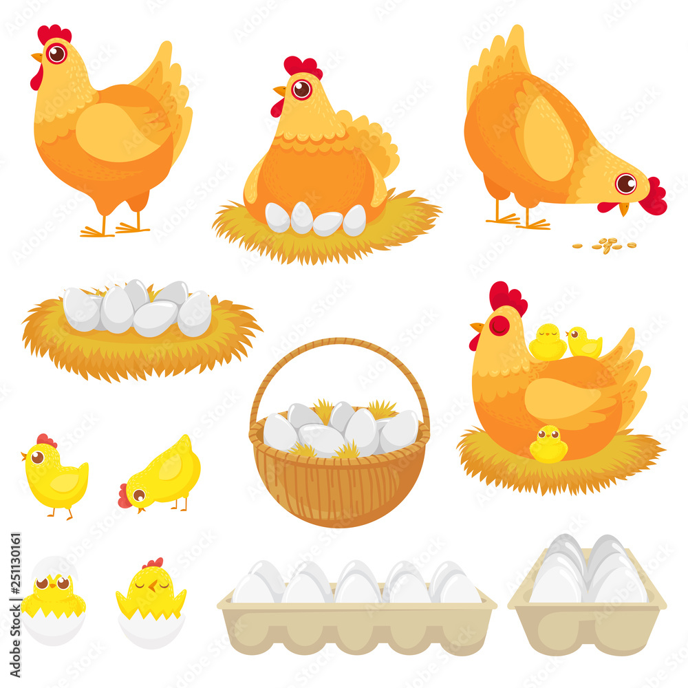 Vetor de Chicken eggs. Hen farm egg, nest and tray of chickens eggs