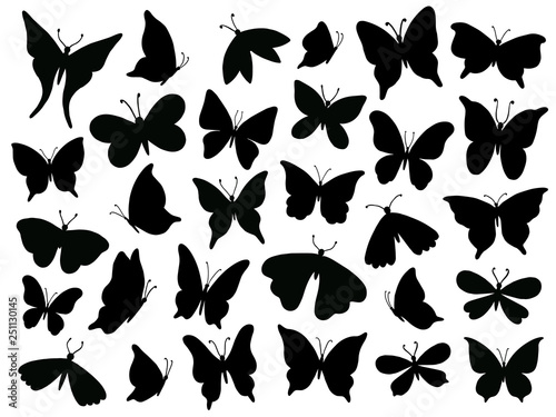 Papillon silhouette. Mariposa butterfly wing, moth wings silhouettes and spring flower butterflies isolated vector illustration set