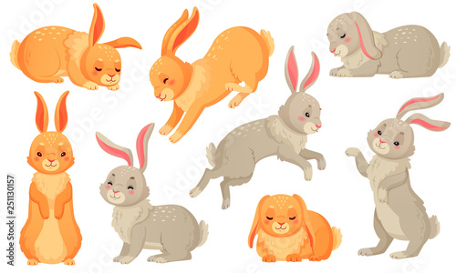 Cartoon bunny. Rabbits pets, easter bunnies and plush little spring rabbit pet isolated vector illustration set