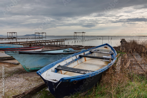 Au bord de l etang de Thau - Marseillan en Occitanie - Herault