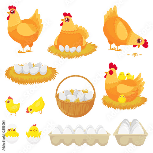 Chicken eggs. Hen farm egg, nest and tray of chickens eggs cartoon vector illustration set