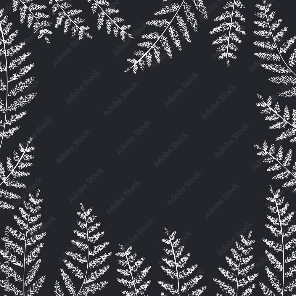 Obraz premium pattern plants and herbs isolated icon