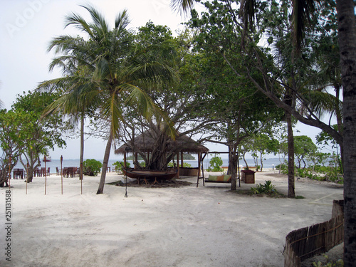 palm trees and a gazebo on the beach
