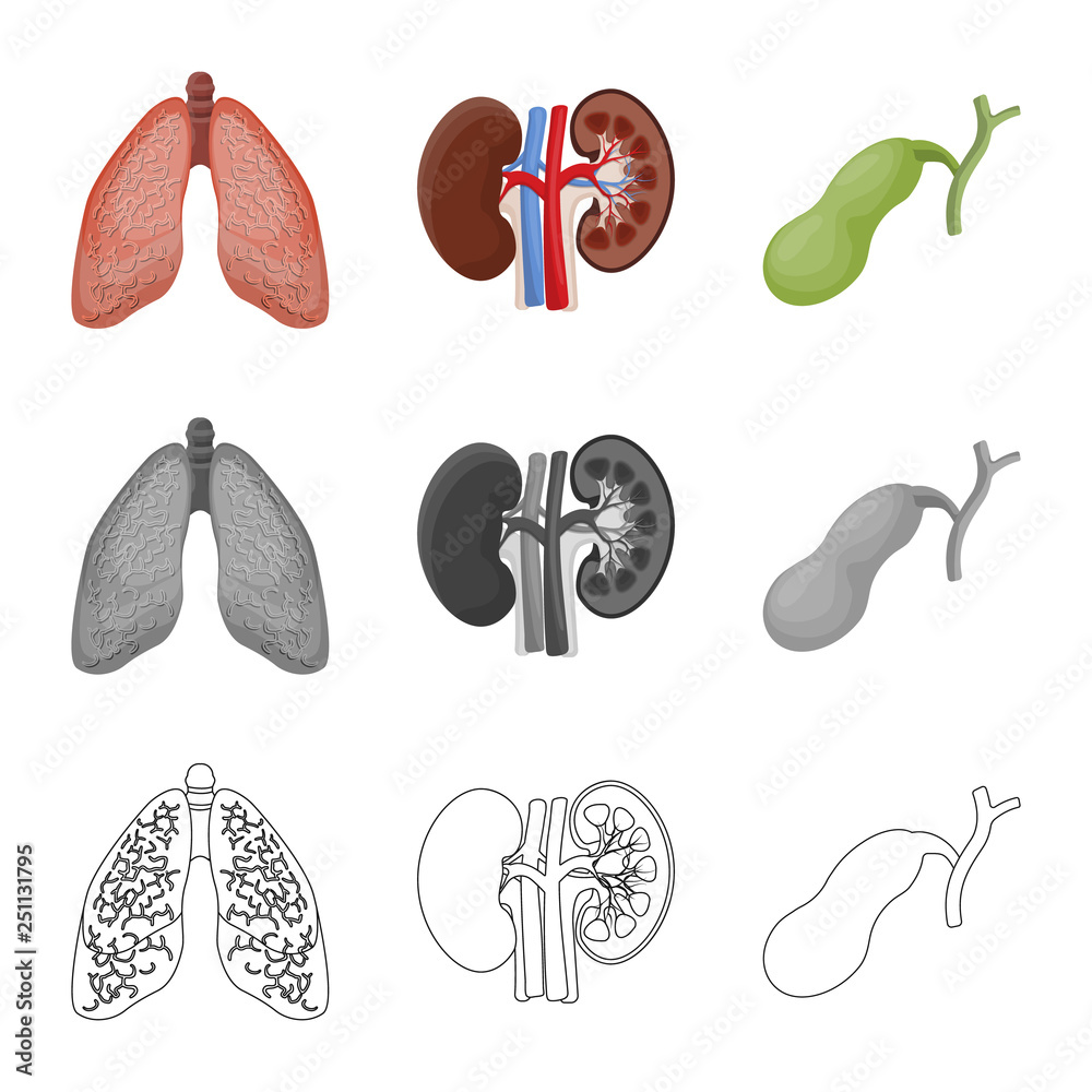 Vector design of body and human icon. Collection of body and medical stock symbol for web. Vector design of body and human icon. Collection of body and medical stock symbol for web.