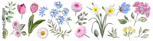 Fototapeta Naklejka Na Ścianę i Meble -  Spring flowers. Watercolor. Set: tulips, primroses, daffodils,forget-me-nots, daisies, leaves, flowers, buds.