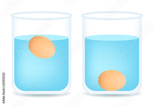 egg floating test in water vector