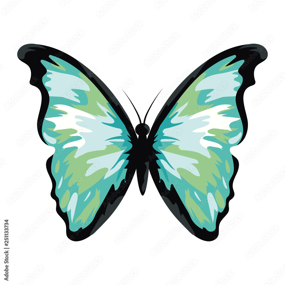 beautiful butterfly cartoon Stock Vector | Adobe Stock