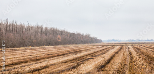 plowed field in autumn