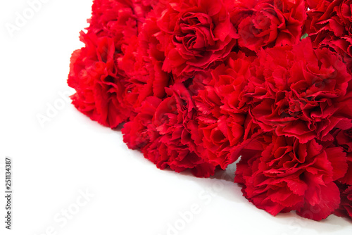 赤いカーネーションの花束