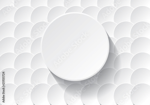 fond cercles blancs