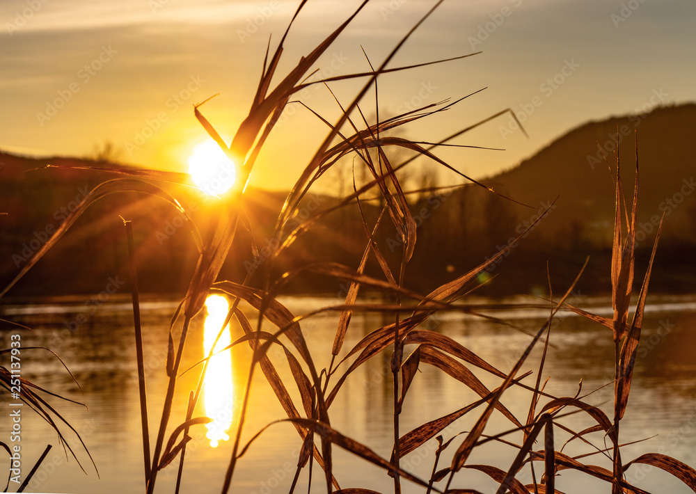 Obraz premium Sonnenaufgang am See