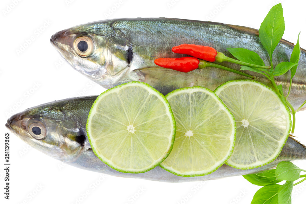 Fresh fish with lemon and leaf isolated on white background,concept cooking background
