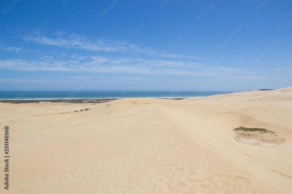 the beautiful te paki sand dune in new zealand