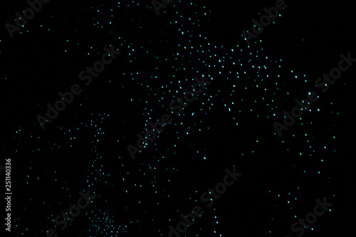 Amazing glow worms in a cave in new zealand photo