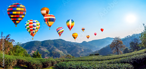 Colorful hot air balloon fly over tea farm with sun rise 3
